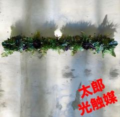 光触媒 人工観葉植物 ウォールグリーン フェイクグリーン 壁掛け 