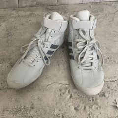 Item thumbnail for item 29f82267-9af0-46f1-8bdf-ed780309d927