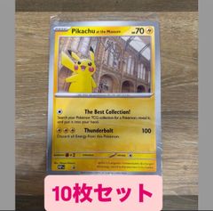 Pikachu at the Museum ロンドン自然史博物館 ピカチュウ F - メルカリ