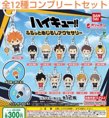 ドデカミン×初音ミク　つながるチャーム　12種類コンプリート ドデカミン×初音ミク つながるチャーム 12種類コンプリート - メルカリ