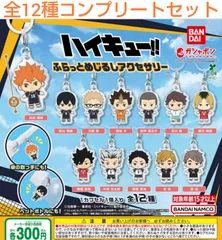 ハイキュー‼︎ ふらっとめじるしアクセサリー 全12種コンプリートセット　ガチャ