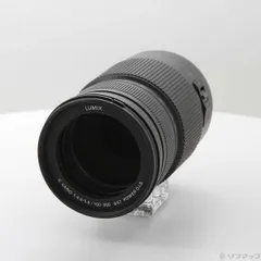2026年最新】LUMIX G VARIO 100-300の人気アイテム - メルカリ