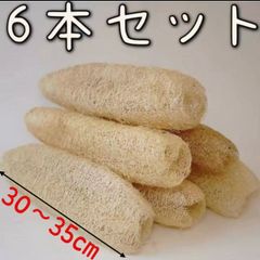肉厚 4本 25～30cmへちまたわしスポンジエコ生活 無農薬無漂白 - メルカリ