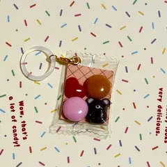 小さな相棒を閉じ込めた、キャンディバッグ・目印チャーム