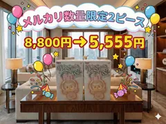 数量限定　正規品・新品未開封　２ピース ラブブ ポップマート ぬいぐるみ