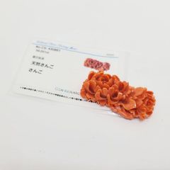 併売商品※◇未使用保管品◇CORETERNO【コレテルノ】ROSE AND ME ローズ