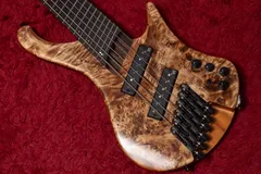 2026年最新】ibanez ギグバッグの人気アイテム - メルカリ