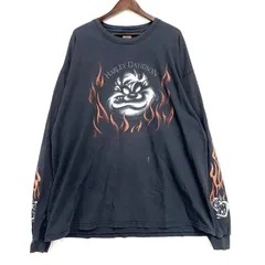 【現状渡し品】HARLEY DAVIDSON ハーレーダビッドソン LOONEY TUNES FIRE LS TEE ルーニーテューンズ ロングスリーブ Tシャツ USA製 長袖 トップス 【146-251216-as-22-izu】
