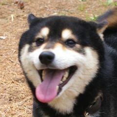 ぱぴぷ商店/即購入OK様 オーダー商品 - メルカリ