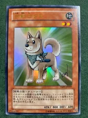 2026年最新】柴戦士タロの人気アイテム - メルカリ