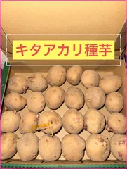 北海道産 じゃがいも 種芋 キタアカリ サイズS〜SS 15kg前後 300玉位 2026年最新】種芋 キタアカリの人気アイテム - メルカリ