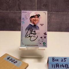 Item thumbnail for item 60a49b6c-2acb-48fe-af62-3b989a7ec142