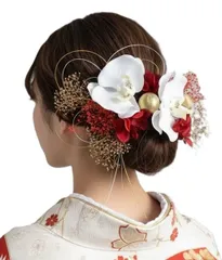 新品 <華麗14点>髪飾り 成人式 振袖 卒業式 袴 結婚式 前撮り 謝恩会 披露宴 二次会 七五三 入学式 演奏会 パーティー お呼ばれ 浴衣 祭り デート｜豪華胡蝶蘭造花＆本物プリザーブドフラワー 水引き・和玉付きヘッドドレス｜和装・洋装兼用 ヘアアクセサ