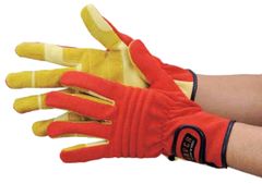 Item thumbnail for item f77273cb-afce-412e-8337-d9897ca0673d