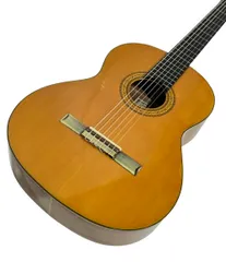 2026年最新】ギター shinano SC-20の人気アイテム - メルカリ