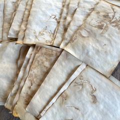 Item thumbnail for item d2ae00c1-63b8-4fd4-910e-b8dba7f5baee