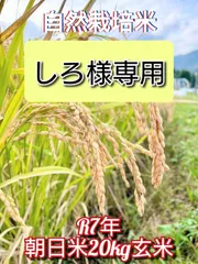 しろ様専用   自然栽培米 朝日米20kg玄米