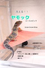 Item thumbnail for item 527c7eb4-802e-478f-8df6-bcf68c66e69d