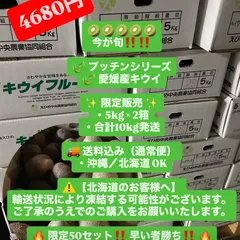 🥝🥝🥝🥝2箱🥝🥝🥝🥝10キロ 発送‼️限定販売‼️