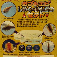 Item thumbnail for item 4d3fbc3d-3e4c-43da-9def-065b5c0b25cd