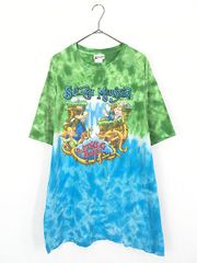 超レア 90s Disney スプラッシュマウンテン ピクトグラムT 美品XL 