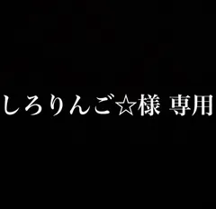 しろりんご☆様 専用•*¨*•.¸♬︎