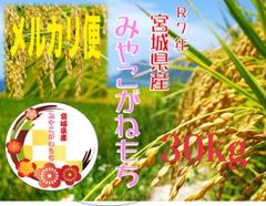 宮城県産 みやこがねもち米 30kg 令和7年産 精米/玄米 - メルカリ