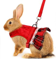 Item thumbnail for item 0a8d26fa-63de-4434-9609-f948aeb0fb85