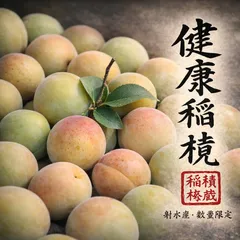 富山県産　健康稲積青梅　3kg 農薬不使用 富山県産 稲積青梅 3kg - メルカリ