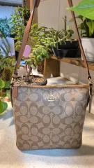 ほぼ新品-COACH シーグリ クロスバック ブラウン