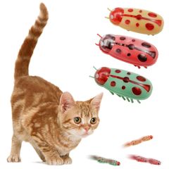 Item thumbnail for item b3283cef-91b2-4d9a-a5e4-1b3febec13e3