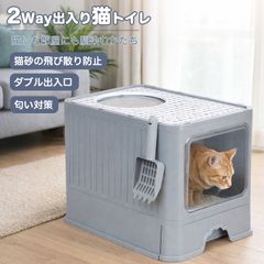 Item thumbnail for item 74b3545b-aae0-4590-9697-49eed3778696