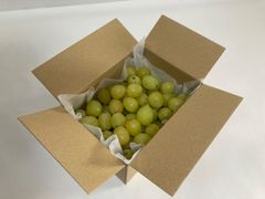 葡萄「シャインマスカット」　　家庭用　７００ｇ　バラ詰め