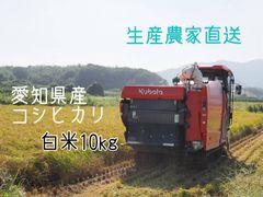 愛知県産コシヒカリ白米20kg｜産直・低農薬米 - メルカリ