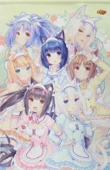 ネコぱら A4キャラファイングラフ メロンブックス 有償特典 - メルカリ