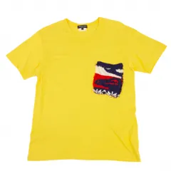 コムデギャルソン オムプリュスCOMME des GARCONS HOMME PLUS ニットパッチポケットTシャツ 黄S