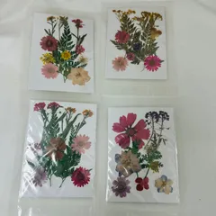 押シ花 素材 4点セット ドライフラワー レジン ハンドメイド パーツ