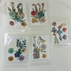 【新品】押し花 素材 ５点セット ドライフラワー レジン ハンドメイド パーツ