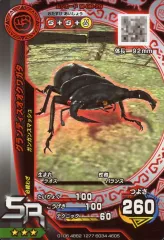 【中古】ムシキング M-G6-29[SR]：グランディスオオクワガタ