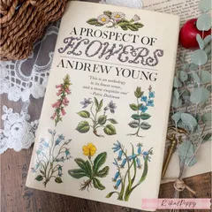 2026年最新】アンティーク洋書の人気アイテム - メルカリ