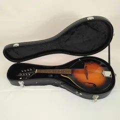 2026年最新】フラットマンドリンの人気アイテム - メルカリ