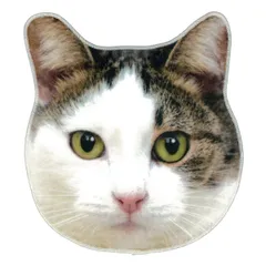 ハンドタオル リアルモチーフタオル 三毛猫 ハンカチ 猫 ネコ （ タオル ミケ猫 フェイス 三毛 リアル モチーフタオル ハンカチタオル 本物みたい 動物 スタイ よだれかけ おしぼり 日本製 プレゼント ）