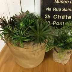 プランター カービングウッド ポット ビッグ （ 鉢カバー 植木鉢 プランターカバー 鉢 ウッドポット 桐 木製 丸 スタンド 置く 植物 花 観葉植物 器 園芸 展示 小物入れ 室内 インテリア 北欧 おしゃれ 天然木 ）