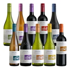 チリ ワイン コノスル ビシクレタ (ヴァラエタル) wine 10本 飲み比べセット 750ml × 10本 父親 誕生日 プレゼント お酒 父の日 ギフトのサムネイル