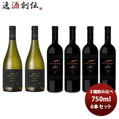 ワイン飲み比べセット チリ カイケンウルトラ ３種６本飲み比べセット 750ml 6本セット 春 お祝い バレンタイン プレゼントのサムネイル