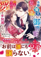 2026年最新】ベリーズ文庫の人気アイテム - メルカリ