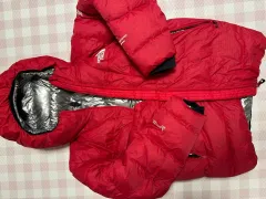 THE NORTH FACE ザノースフェイス ASCENT PEAK クラウド ダウン Lサイズ(100)