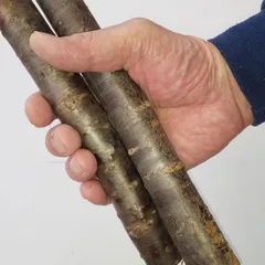 🌸　国産無農薬　木材　　山桜　やまざくら　細　5本セット　直径3センチ以下のもの　長さ21~24センチまでのもの　燻製　アウトドア　クラフト　工芸　手作り　ペット　工作　撮影小物　インテリア　ネコポス