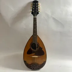 2026年最新】suzuki マンドリンの人気アイテム - メルカリ