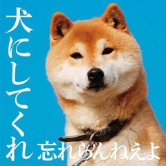 (중고) 개로 해줘 (스페셜 프라이스판) [CD] 잊지 마라